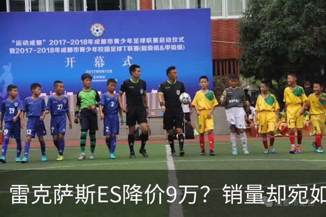 雷克萨斯ES降价9万？销量却宛如坐滑梯，这背后到底什么情况？